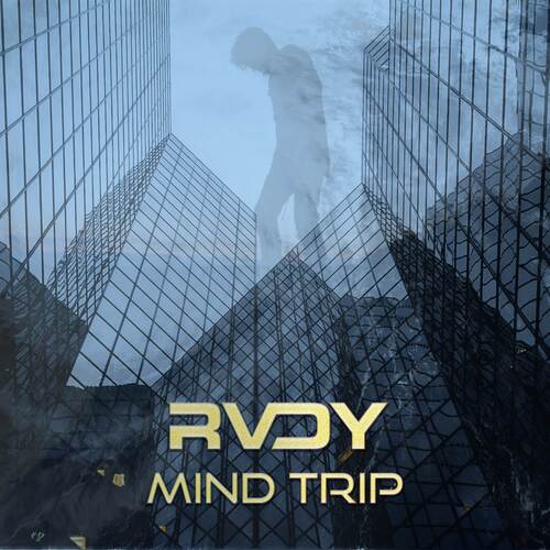 Mind Trip cover art