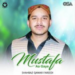 Mustafa Aa Gaye