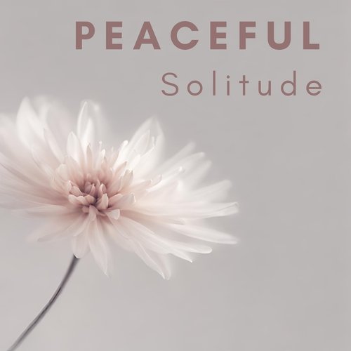 Peaceful Solitude: Find Comfort in Quietude, Nurture Calm and Serenity_poster_image