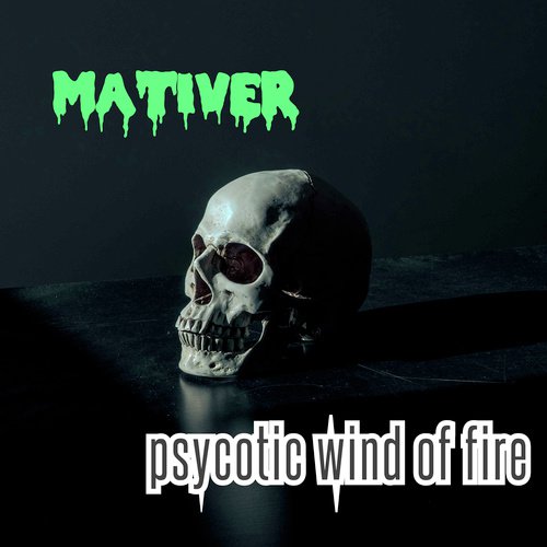 I'm Insain cover art