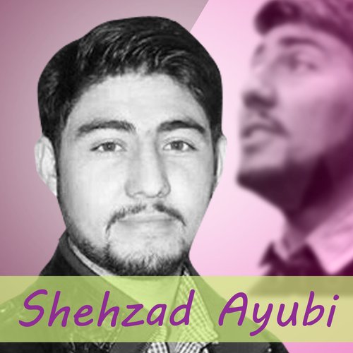 Shahzad Ayubi New Song