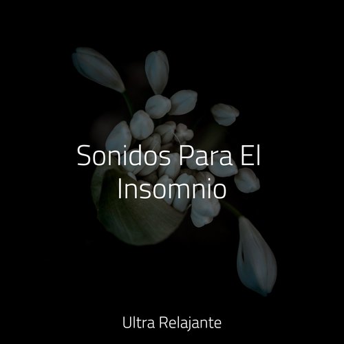 Sonidos Para El Insomnio