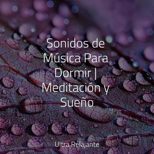 Música Relajante Para El Sueño Profundo - Música Tranquila Para Dormir -  Song Download from Dormir: Música relajante para el sueño profundo y música  para la relajación @ JioSaavn