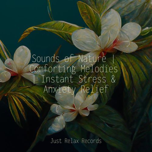 Sounds of Nature | Comforting Melodies | Instant Stress & Anxiety Relief_poster_image