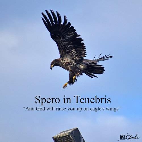 Spero in Tenebris