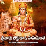 Sri Rama Bhakthuda O Hanumantha artwork