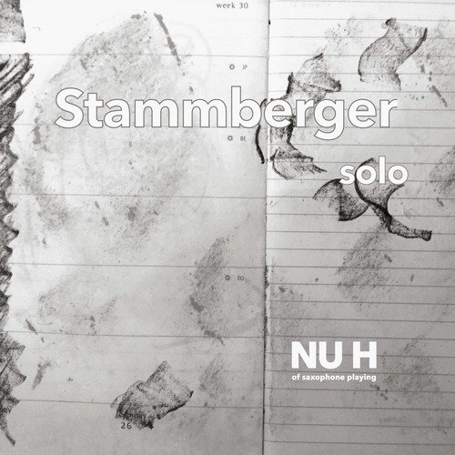 Stammberger solo @ Multiversal #17 cover art