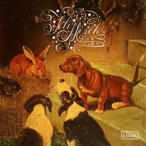 Ismeretlen Lotti halotti portréja cover art