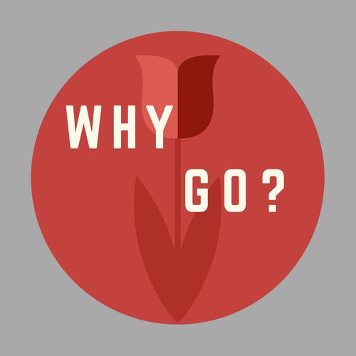 Why Go? Project_poster_image