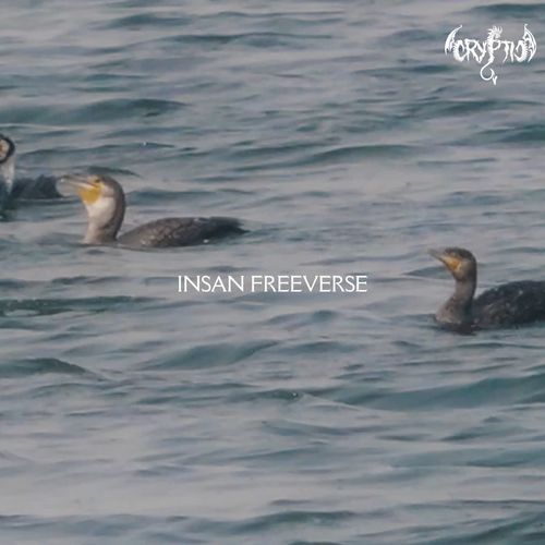 insan freeverse