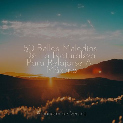 50 Bellas Melodías De La Naturaleza Para Relajarse Al Máximo