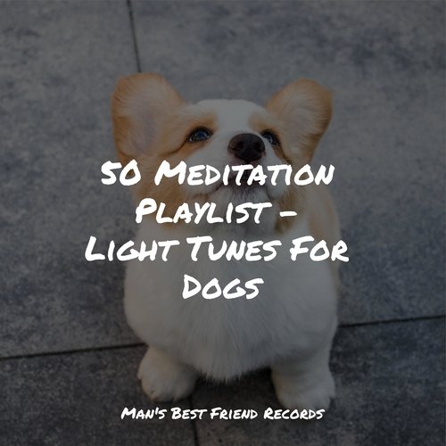 50 Meditation Playlist - Light Tunes For Dogs