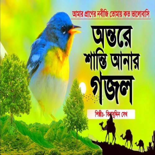Amar Praner Nobiji Tomay Koto Bhalobasi