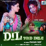 Dil Toid Dele