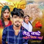 Gehu Kate Gail Biya Mai