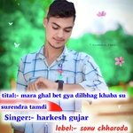 mara ghal bet gya dilbhag khaba su