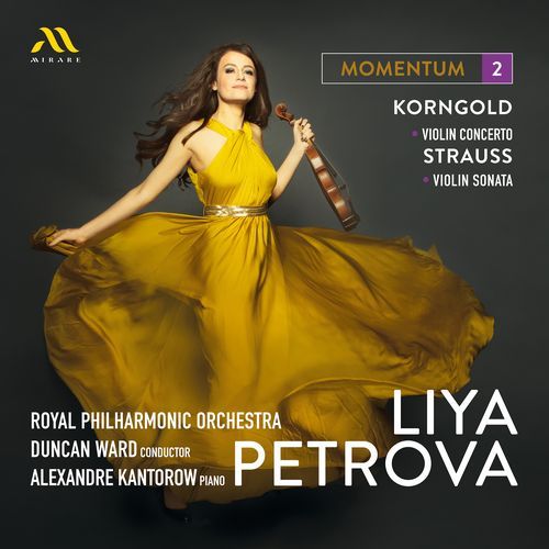 Violin Concerto in D Major, Op. 35: II. Romance