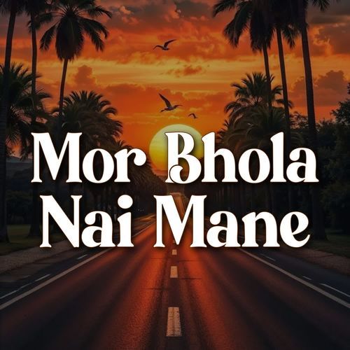 Mor Bhola Nai Mane