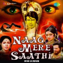 Naag Mere Saathi