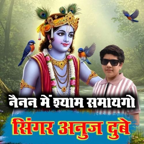 Nainan Mein Shyam Samaygo