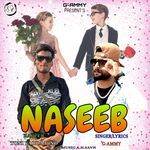 Naseeb