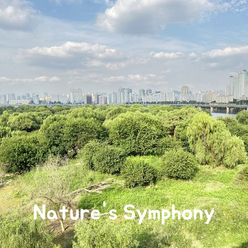 Nature&#039;s Symphony_poster_image