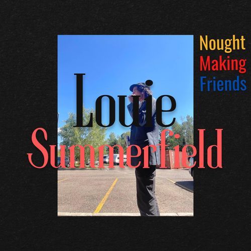 Summerfield Murders cover art