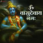Om Vasudevaya Namah