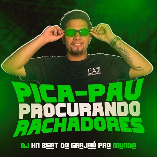 PICA PAU ROCURANDO RACHADORES cover art