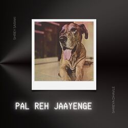 Pal Reh Jaayenge-JQ8jWExfbgQ