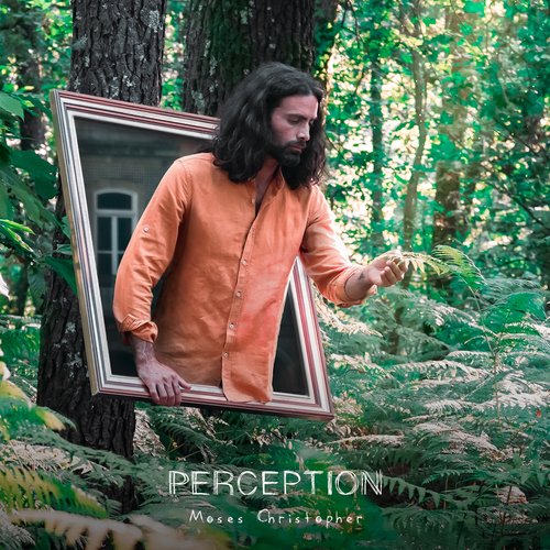 Perception_poster_image