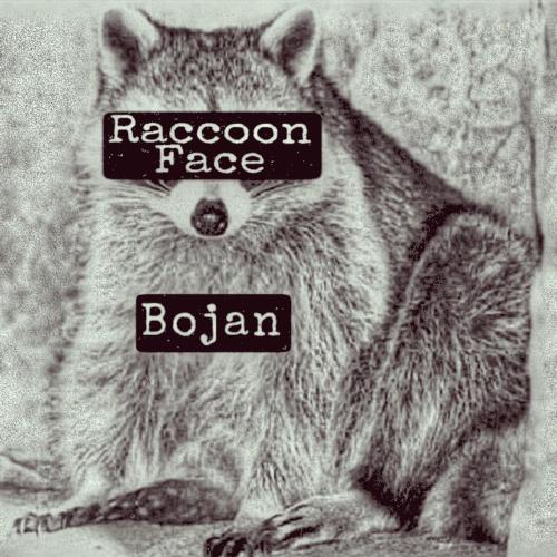 Raccoon Face_poster_image