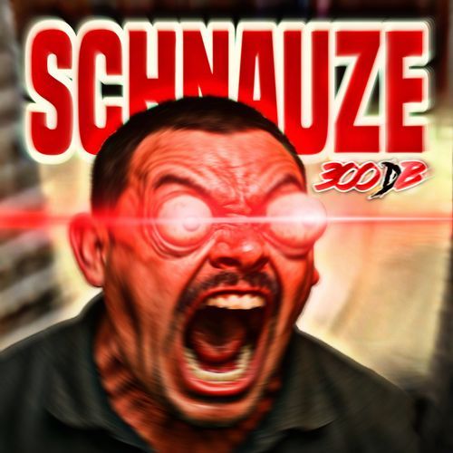 SCHNAUZE (300dB)