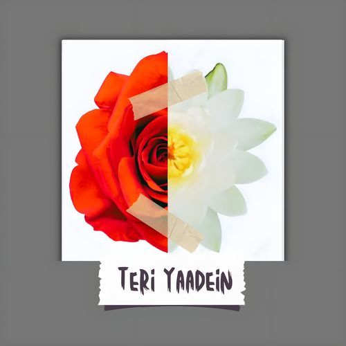 Teri Yaadein