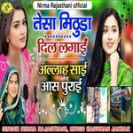 Tesa Mithuda Dil Lagai