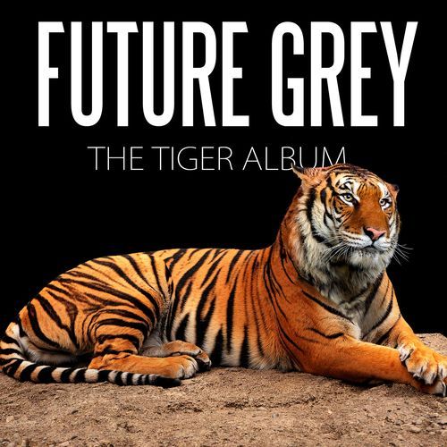 The Tiger Album - JioSaavn - Listen to New & Old Indian & English