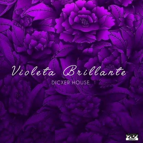 Violeta Brillante cover art