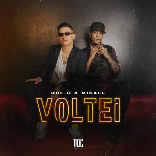 Voltei_poster_image