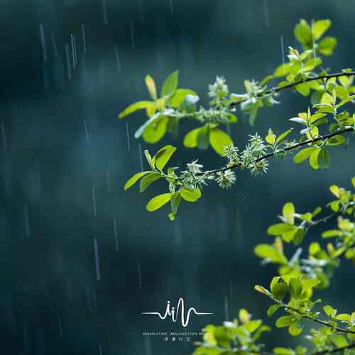 倾听 (八音盒睡前音乐) cover art