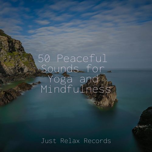 50 Peaceful Sounds for Yoga and Mindfulness