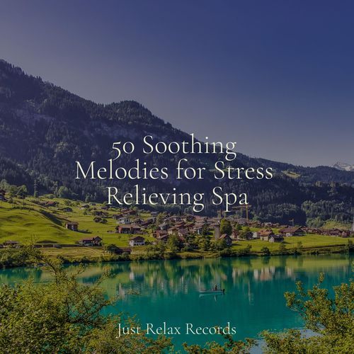 50 Soothing Melodies for Stress Relieving Spa