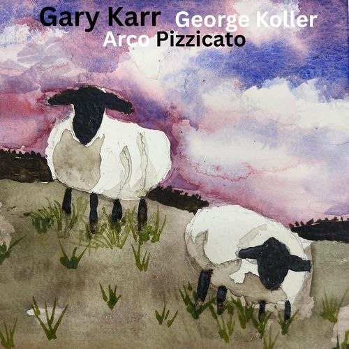 Arco Pizzicato