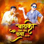 Bayko Udavat Jaye Paisa