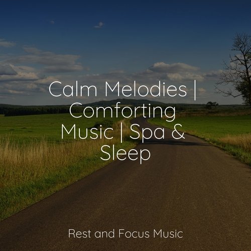 Calm Melodies | Comforting Music | Spa & Sleep