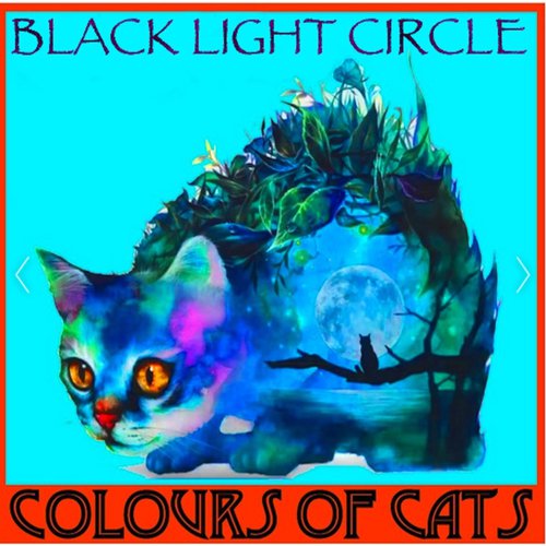 Colours of Cats
