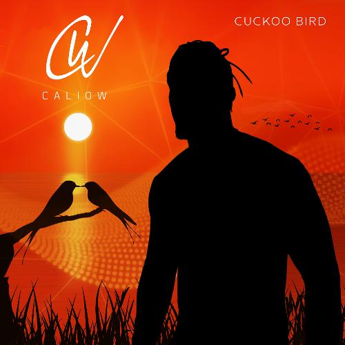 Cuckoo Bird_poster_image