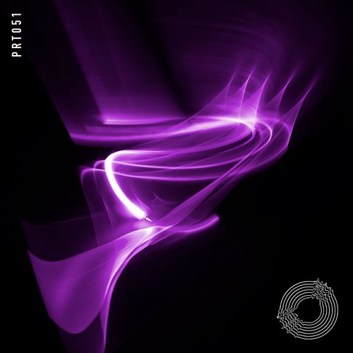 Disturber (D Mayer Remix) cover art