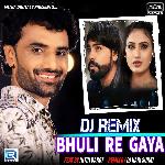 Dj Remix Bhuli Re Gaya