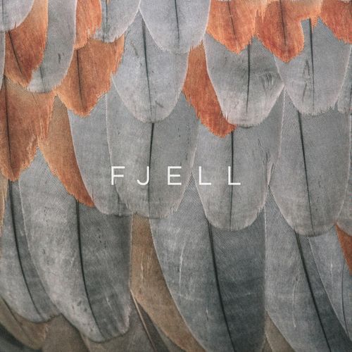 Fjell cover art