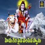 Himagiri Paina Velasina Swamy